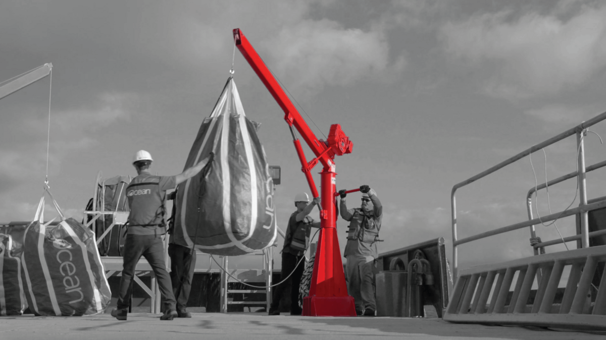 Grayscale image with a red Thern crane in the center.